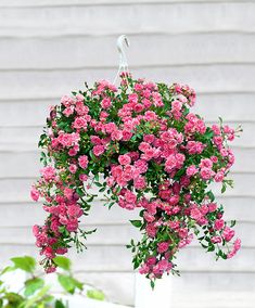 pink flowers in a white vase hanging from a hook on the outside of a house