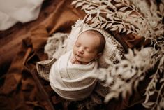 a newborn baby wrapped in a white wrap is laying on a brown blanket next to dried plants