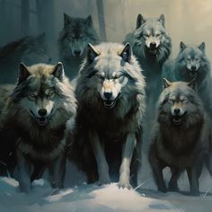 a group of wolfs walking in the snow