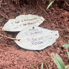 two leaves with words written on them sitting in the dirt next to some grass and plants