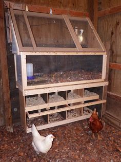 two chickens are standing in front of a large chicken coop that is made out of wood