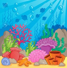 an underwater scene with corals and shells