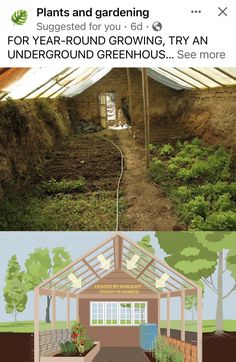 an image of the inside of a house with plants growing in it and on the outside