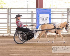 a woman riding on the back of a horse pulling a buggy in an arena