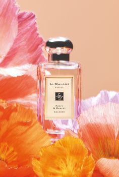 Al dansend over de weiden van Engeland verspreidt zich een levendige bloemengeur uit de Jo Malone London ”Poppy & Barley” collectie. Begonnen als onderdeel van de populaire English Fields collectie (2018) krijgt deze uitnodigende geur nu een eigen (blijvend) podium... #jomalonelondon #jomalone #poppyandbarley #poppybarley #jomalonelondoncologne #jomaloneperfume #jomalonelondonperfume #parfum #perfume Peony Blush Suede, Eos Lip Balm, Perfume Photography, Make Up Tools, Perfume Floral, Gloss Labial, Fragrance Set, Best Fragrances, Best Perfume