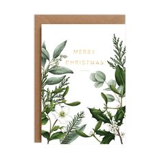 a christmas card with green leaves and white flowers