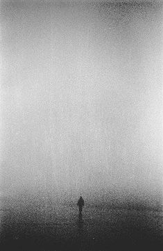 a person standing in the middle of a foggy field