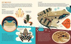 an illustrated book with different types of frogs