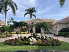 a home with palm trees and landscaping in front of the house, surrounded by lush greenery