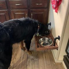 a large black dog eating out of a metal bowl on top of a wooden floor