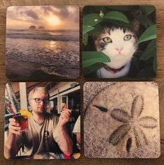 four coasters with pictures of cats and sand dollars on them, including a man holding a drink