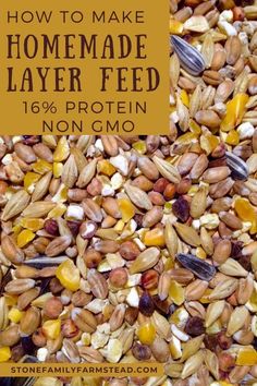 how to make homemade layer feed for non gmo seeds and seed mixtures with text overlay