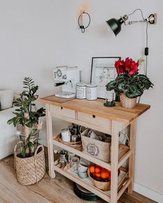 a living room with potted plants and other things on the table in front of it