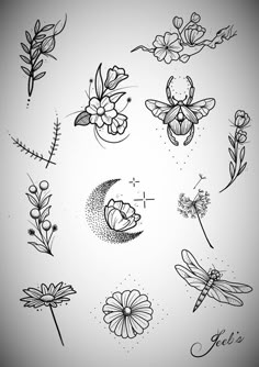 black and white drawing of flowers and dragonflies