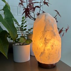 a rock lamp sitting on top of a wooden table next to a potted plant