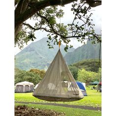 a hammock hanging from a tree with tents in the background