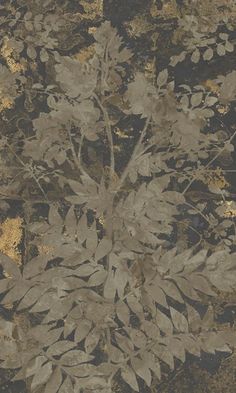 an image of a plant that is on the ground with gold and black leaves in it