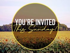 a sunflower field with the words you're invited this sunday in a circle