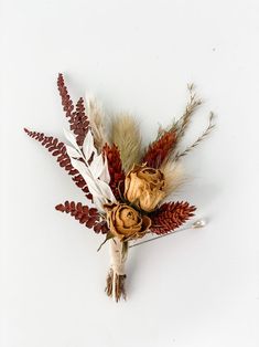 an arrangement of dried flowers and feathers on a white background