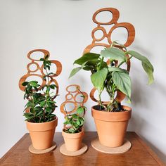 three potted plants are sitting on a table next to each other with the number 8 spelled out