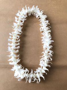 white flowers are arranged in the shape of an o