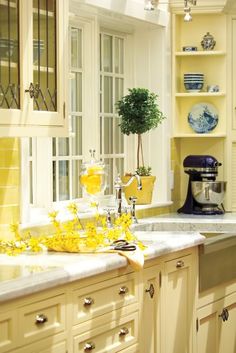 a kitchen filled with lots of white cabinets and yellow counter tops next to a potted plant