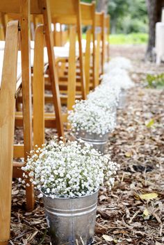 three buckets filled with white flowers sitting on the ground next to wooden chairs and trees