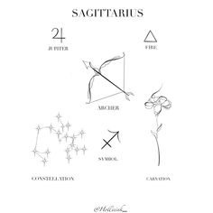 the sagittatis and their corresponding parts are shown in this diagram, which shows how to draw them