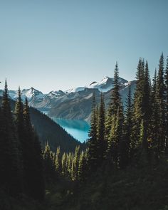 the mountains are covered in snow and trees, with a lake in the foreground