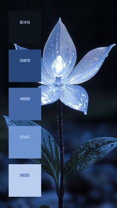 Colors:
0C141A
28487B
4468A6
6E94CF
B9CDEE Bright Blue Palette, Storm Color Palette, Blue Colour Pallet, Dark Blue Palette, Dark Blue Color Palette, Sky Color Palette, Seeds Color Palette, Blue Color Pallet, Droplets Of Water