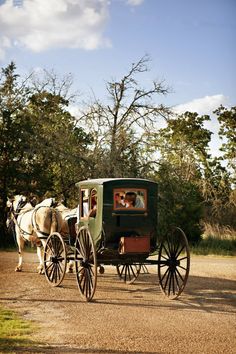 a horse drawn carriage on a dirt road with trees in the backgrouund