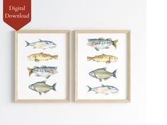 two framed pictures with fish on them in front of a white wall and the words digital download