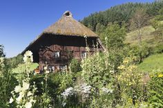 an old thatched roof house surrounded by wildflowers and greenery on a sunny day