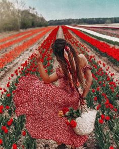 a woman in a red dress is standing in a field with flowers and holding a basket