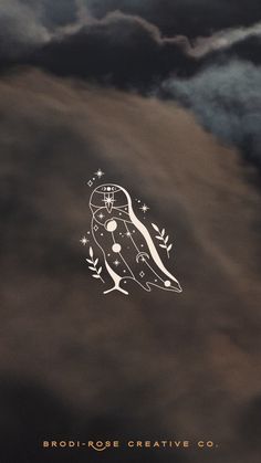 an owl flying through the air with clouds in the background and stars on its back