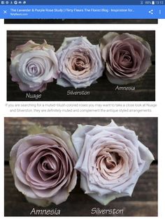 three different types of flowers with names in each one, and the same color as they appear