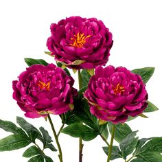 three pink flowers with green leaves on a white background