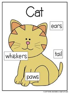 a cat is shown with words in the uppercase and lowercase letters on it