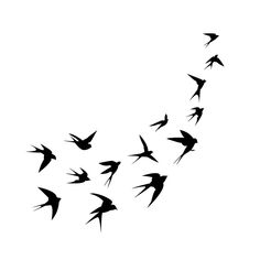 a flock of birds flying in the sky, silhouetted against a white background - csp896