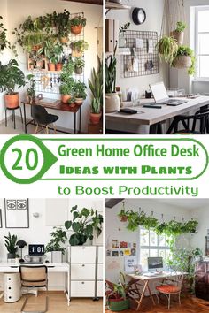 green home office desks with plants in them and the text overlay reads 20 green home office desk ideas with plants to best productivity