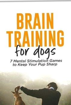 the book cover for brain training for dogs shows a man with his dog in front of him