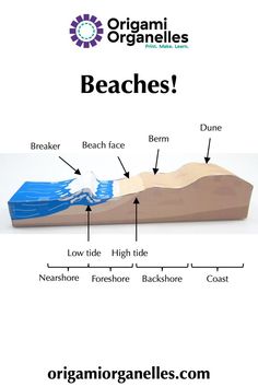 If you can't get to a beach to teach its features, bring the beach into your classroom! Show how these dynamic places are affected by the wind, tides, weather & climate. Weather And Climate, Earth Science, The Wind, The Beach, Science