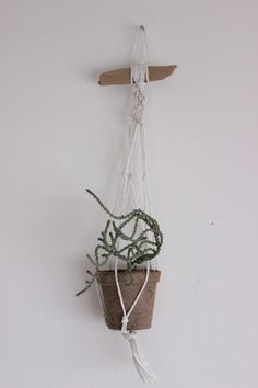 a small potted plant hanging from a wooden hook on a wall with string attached to it