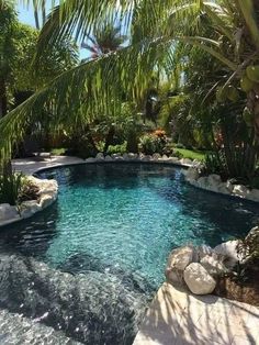 an outdoor swimming pool surrounded by palm trees and rocks in the foreground, next to a stone walkway