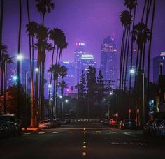 the city skyline is lit up at night, with palm trees and street lights in the foreground