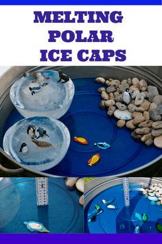 melting polar ice caps are an easy and fun winter activity for kids