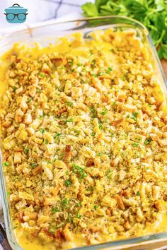 a casserole dish filled with chicken and rice, garnished with parsley