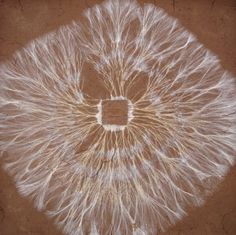 an artistic drawing of a white flower on brown paper