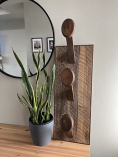 a potted plant sitting on top of a wooden shelf next to a round mirror