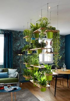 a living room filled with lots of green plants and potted plants hanging from the ceiling